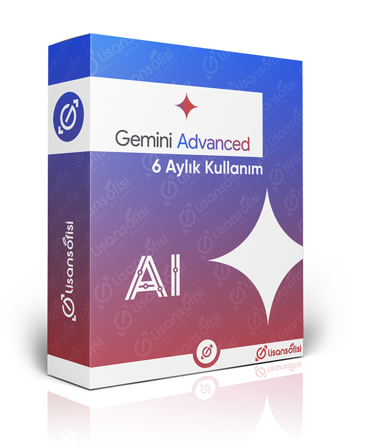 gemini 6 aylık lisans