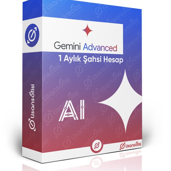 1 aylık şahsi gemini